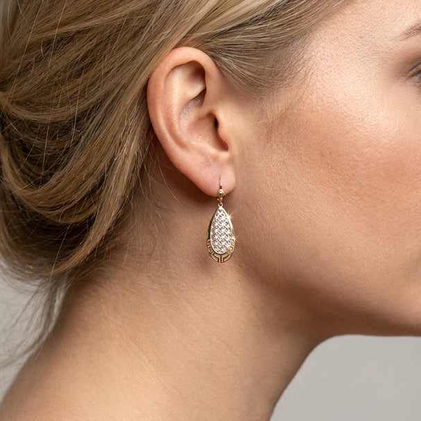 Two Tone Fancy Drop Earrings - worn on ear