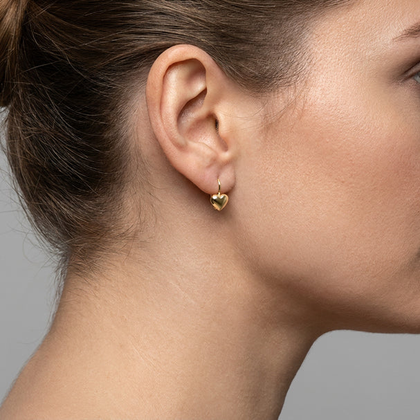 Yellow Gold Heart Shape French Back Earrings - worn on ear