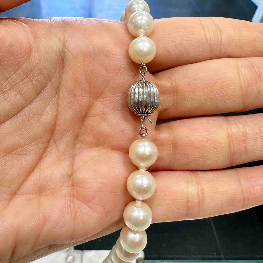 Freshwater pearl necklace with 9-8.5mm high luster white pearls and a champagne overtone, featuring a 14k white gold clasp.