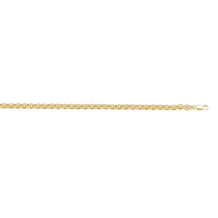 Yellow Gold Rolo Bracelet — 2.9mm, 7"